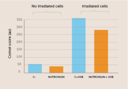 Figure 3. In this in vitro study NutroxSun significantly reduced 
DNA breakage, as measured using a standard technique called a Comet assay, which enables researchers to visualise how many DNA fragments are generated in cells exposed to UV radiation.