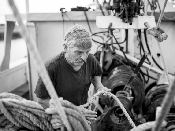 Pycnogenol for men’s health: part II