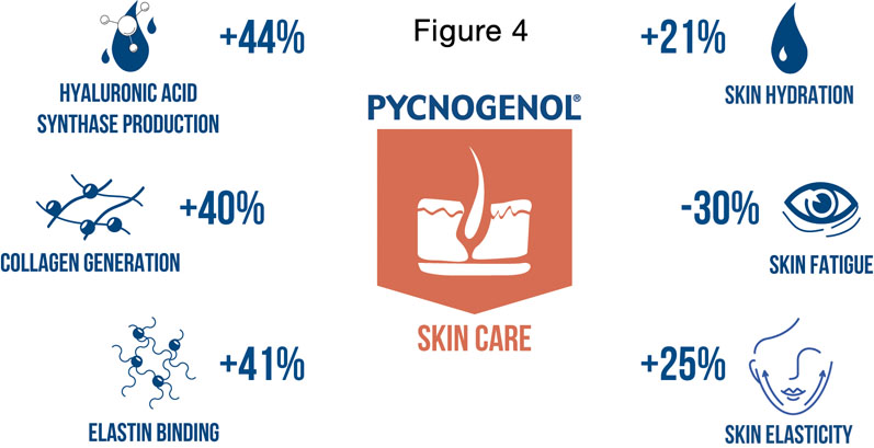 Pycnogenol’s mechanisms of action explained: part II