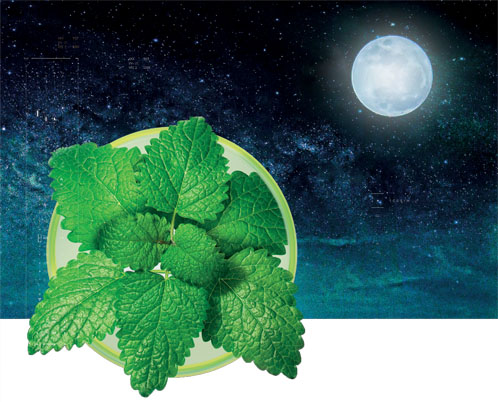 Relissa: a botanical melatonin-free aid to improved sleep and living better