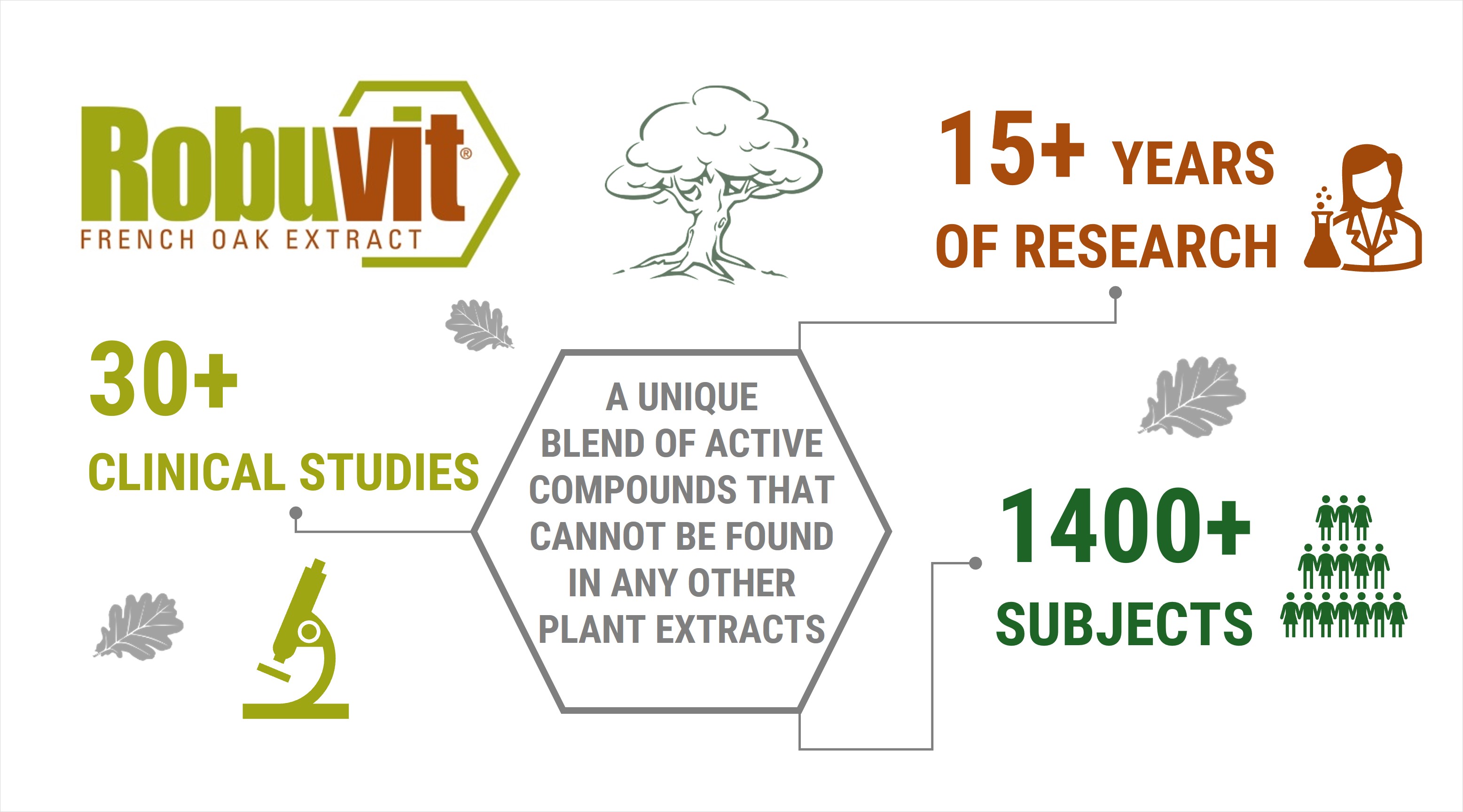 Robuvit: natural energy and recovery from French oak