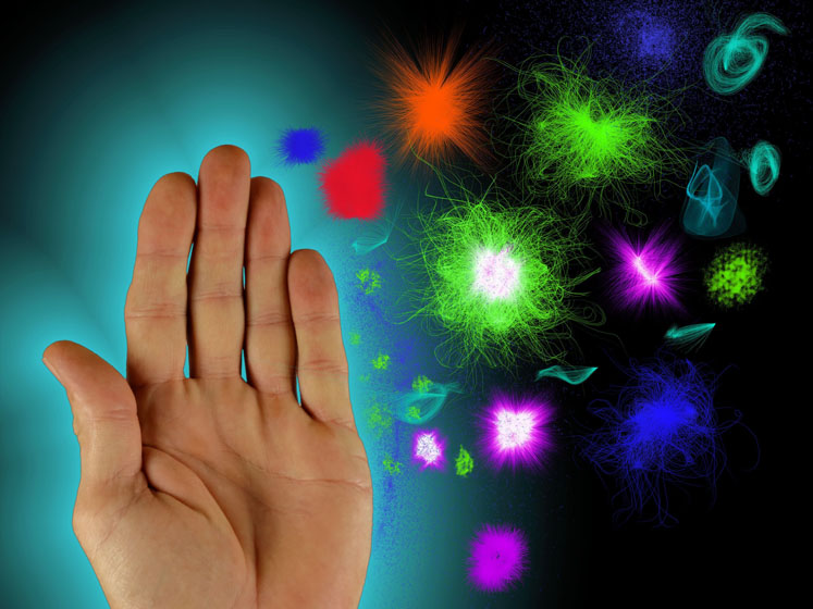 Short-chain fructo-oligosaccharides and their effect on the immune system