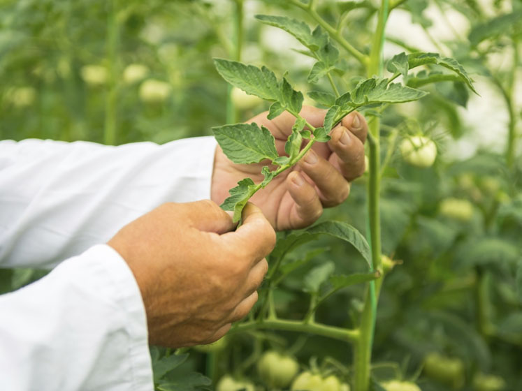 Sourcing and processing quality ingredients post-2020