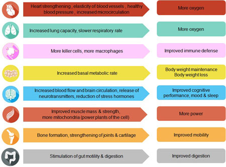Figure 5: Beneficial effects of sports