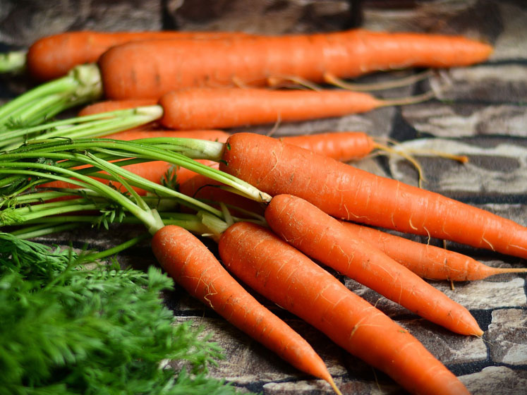 Staying immune fit: how to train the body's defence system