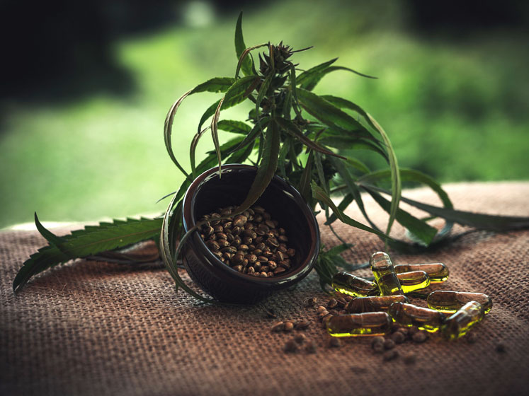 Successful marketing of medicinal cannabis and cannabis-derived products: part I