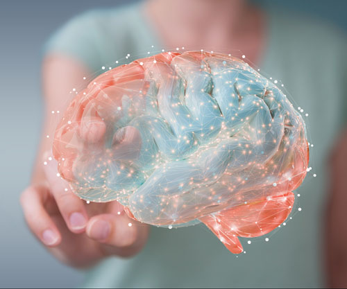 Supporting healthy brain ageing with a unique magnesium compound