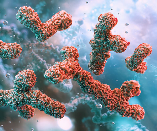 Synbiotic-butyrate capsule supplement opens new doors for IBS symptom management