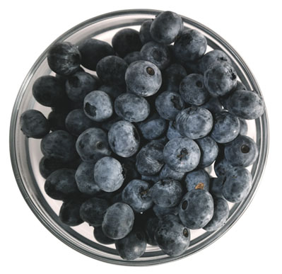 Targeting cognitive decline with plant polyphenols