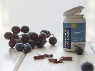 Targeting cognitive decline with plant polyphenols