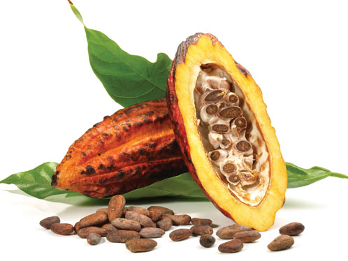 Numerous observational and scientific studies support the role of botanical dietary supplements to maintain good cardiovascular health