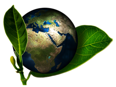 The EU sustainability agenda: what sports food businesses need to know ahead of new rules