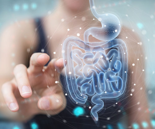 The impact of gut health  on weight management