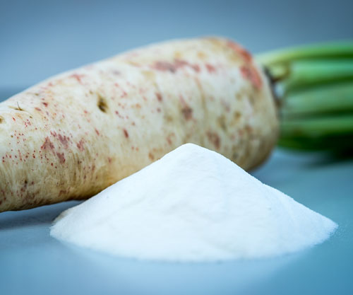 The impact of gut health  on weight management
