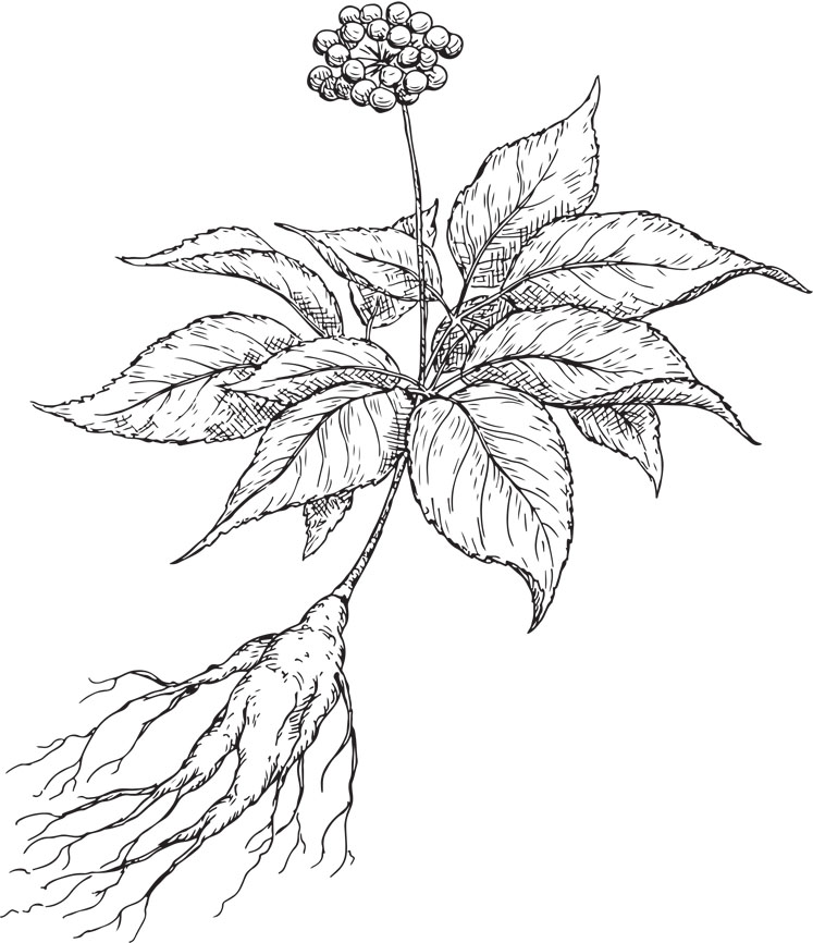 The indoor vertical farming pledge: better botanicals, better planet