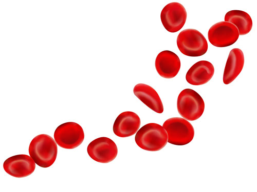 The key to better iron absorption? Bioavailability and timing. Enter Ferrofect