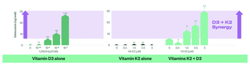 The perfect pair: how vitamins K2 and D3 combine to support health and well-being
