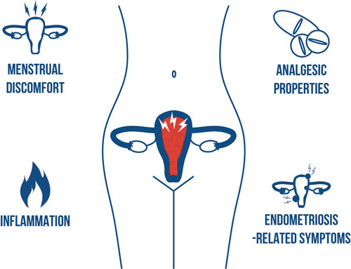 The wide-ranging health benefits of Pycnogenol for women of all ages: part II