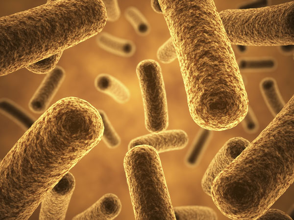The world of probiotics in 2022