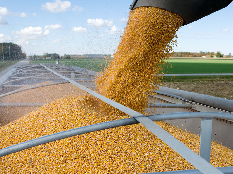 Top five global trends that will shape the food industry in 2021