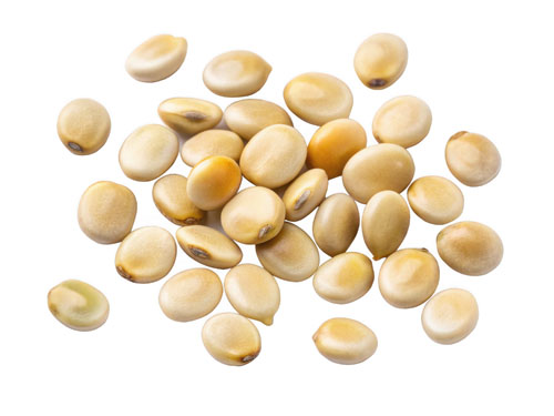 Ultimate processing solutions for meat-free ingredients