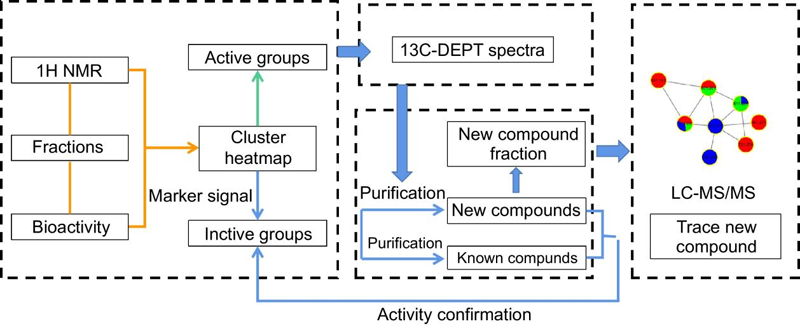 Unlocking coffee’s hidden chemistry: new diterpenes show anti-diabetic promise