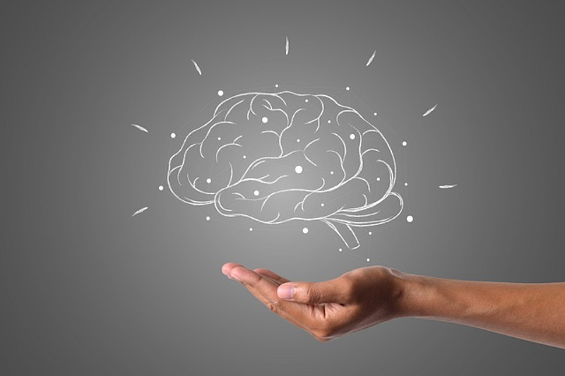 Vitamin K2 for cognitive health in ageing: a need-to-know guide
