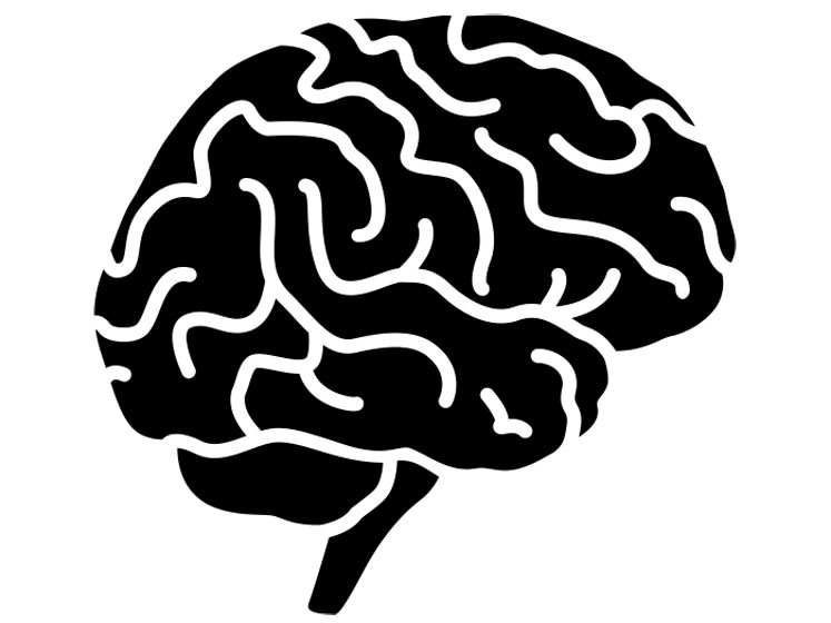 Viwithan: an ashwagandha extract to improve and restore cognitive function
